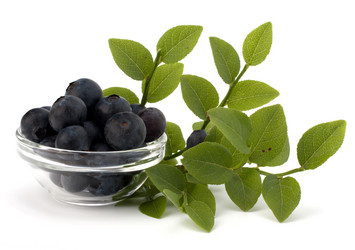 Similar image 2974640