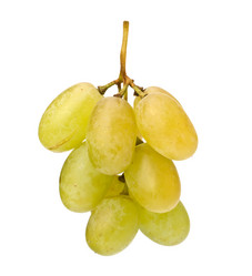 Similar image 2974665