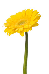 Similar image 2974668