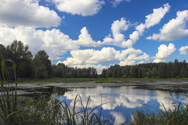 Similar image 2974701