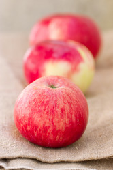 Similar image 2974713