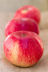 Similar image 2974714