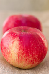 Similar image 2974715