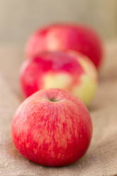 Similar image 2974716