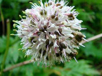 Similar image 2974740