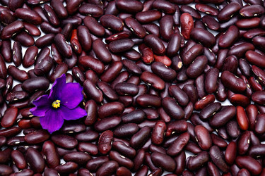 Similar image 2974845