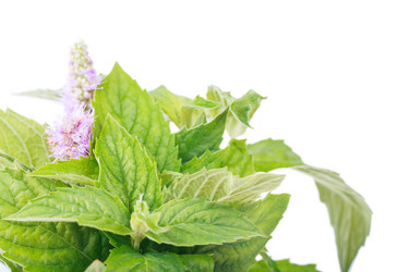 Similar image 2974851