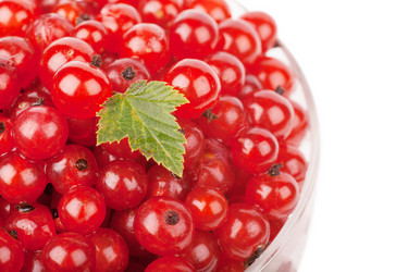 Similar image 2974868