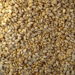 Similar image 2974939