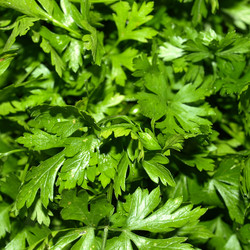 Similar image 2974945