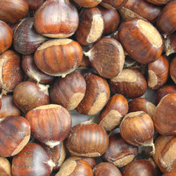 Similar image 2974949