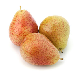 Similar image 2974982