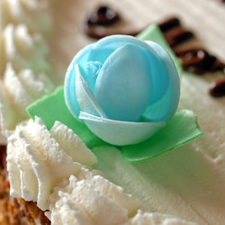 Similar image 2975022