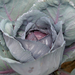 Similar image 2975030