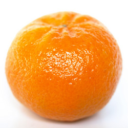 Similar image 2975071