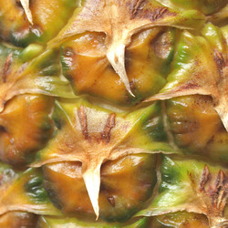 Similar image 2975073