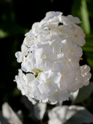 Similar image 2975091