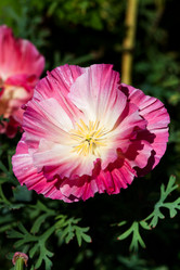 Similar image 2975093