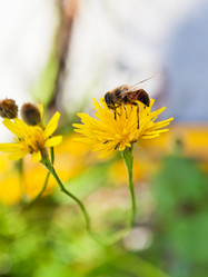 Similar image 2975095