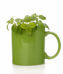 Similar image 2975118