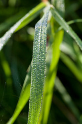 Similar image 2975137