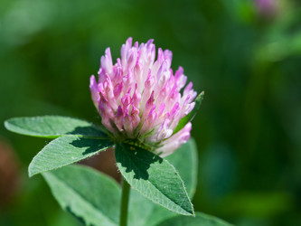 Similar image 2975142