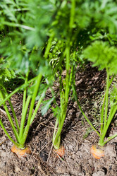 Similar image 2975165