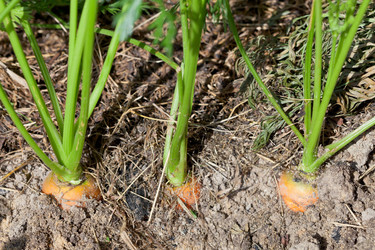 Similar image 2975166