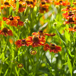 Similar image 2975169