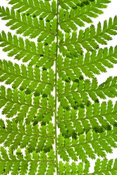 Similar image 2975176