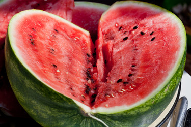 Similar image 2975178