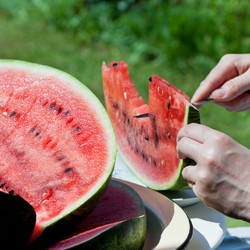 Similar image 2975180