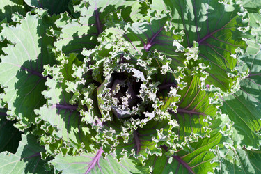 Similar image 2975183