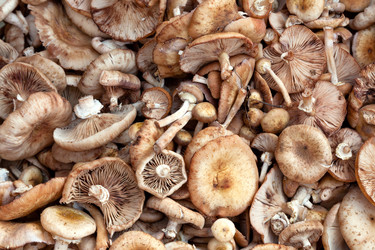 Similar image 2975202