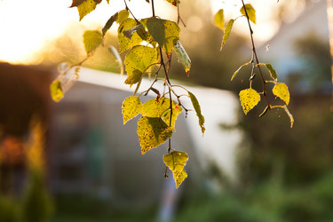 Similar image 2975225