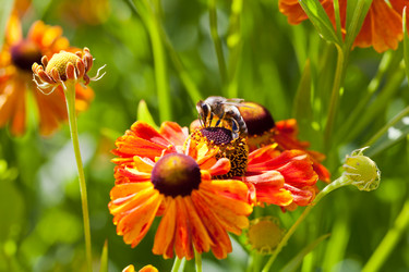 Similar image 2975233