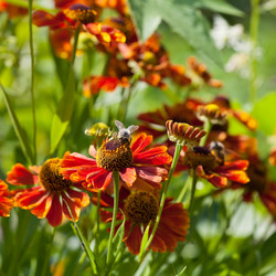 Similar image 2975236