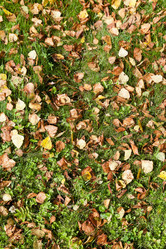 Similar image 2975237