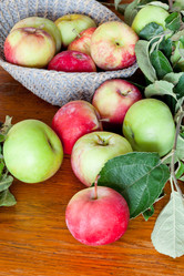 Similar image 2975246