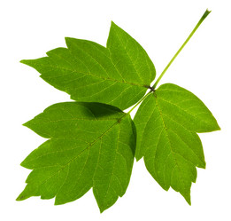 Similar image 2975256