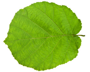 Similar image 2975257