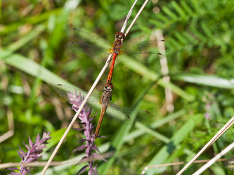 Similar image 2975260