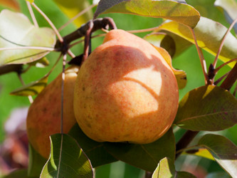 Similar image 2975261