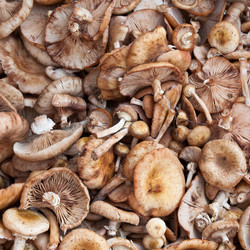 Similar image 2975284