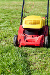 Similar image 2975286