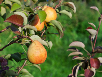 Similar image 2975301