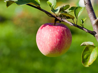 Similar image 2975315