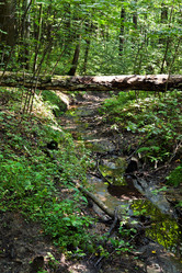 Similar image 2975316