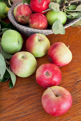 Similar image 2975328