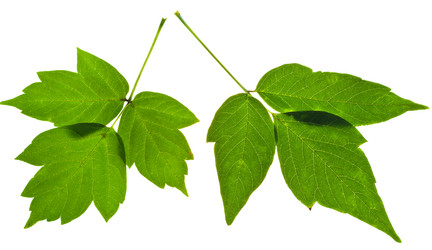 Similar image 2975347